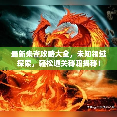 最新朱雀攻略大全，未知領(lǐng)域探索，輕松通關(guān)秘籍揭秘！