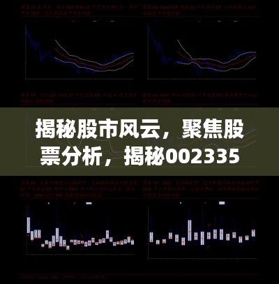 揭秘股市風(fēng)云，聚焦股票分析，揭秘002335股票動(dòng)態(tài)與前景展望
