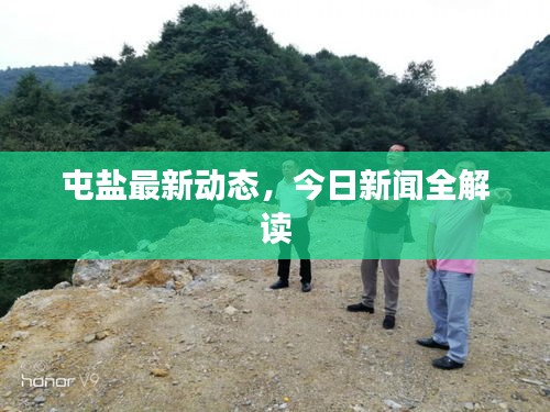 屯鹽最新動態(tài)，今日新聞全解讀