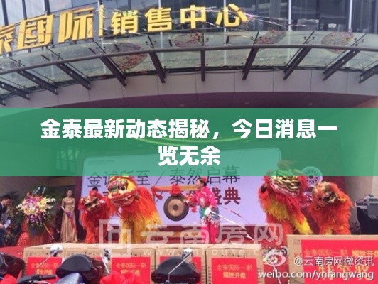金泰最新動(dòng)態(tài)揭秘，今日消息一覽無(wú)余