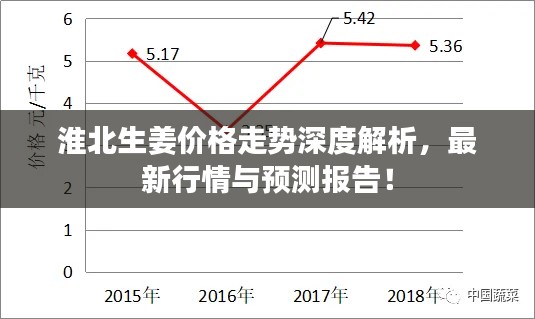 淮北生姜價格走勢深度解析，最新行情與預測報告！