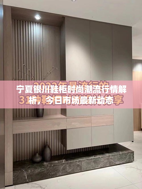 寧夏銀川鞋柜時(shí)尚潮流行情解析，今日市場最新動(dòng)態(tài)