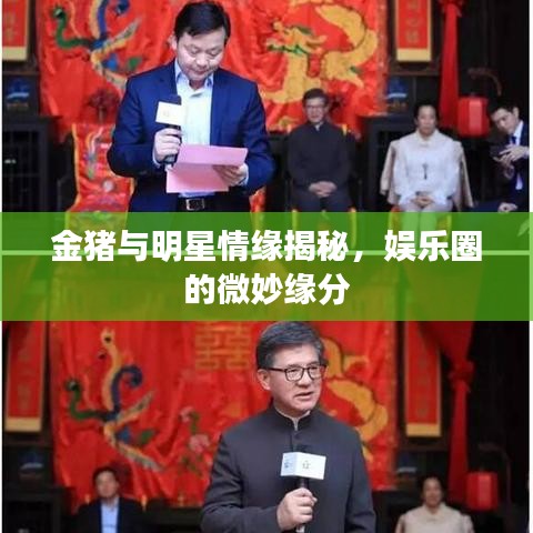 金豬與明星情緣揭秘，娛樂圈的微妙緣分