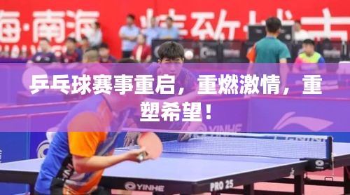 乒乓球賽事重啟，重燃激情，重塑希望！