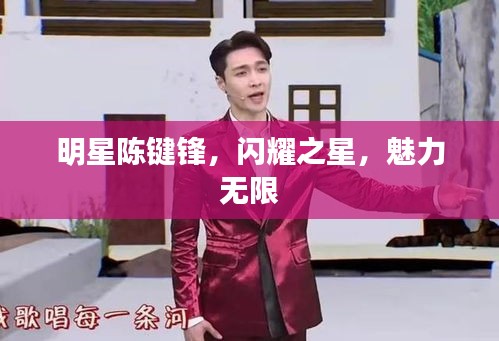 明星陳鍵鋒，閃耀之星，魅力無(wú)限