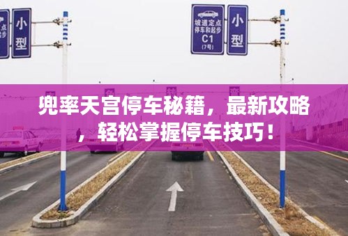 兜率天宮停車秘籍，最新攻略，輕松掌握停車技巧！