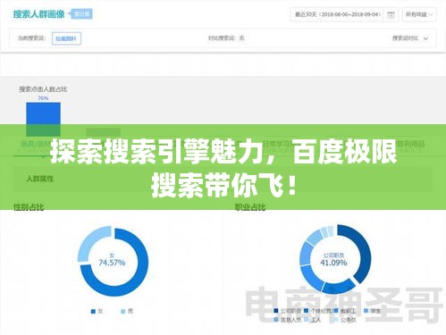 探索搜索引擎魅力，百度極限搜索帶你飛！