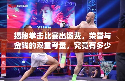 揭秘拳擊比賽出場費，榮譽與金錢的雙重考量，究竟有多少？