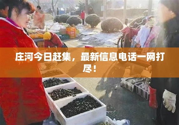 莊河今日趕集，最新信息電話一網(wǎng)打盡！