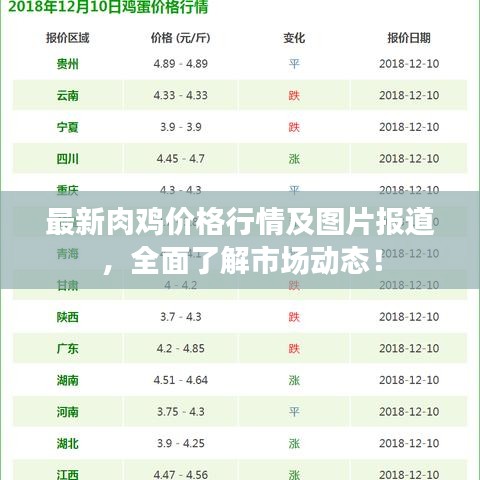 最新肉雞價(jià)格行情及圖片報(bào)道，全面了解市場(chǎng)動(dòng)態(tài)！