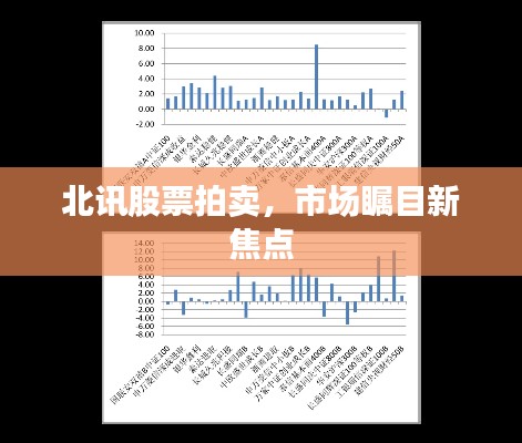 北訊股票拍賣(mài)，市場(chǎng)矚目新焦點(diǎn)