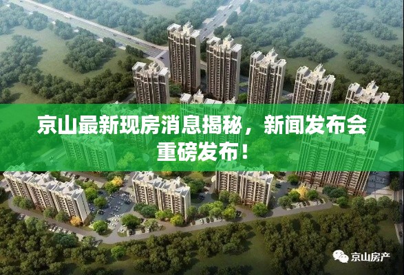 京山最新現(xiàn)房消息揭秘，新聞發(fā)布會(huì)重磅發(fā)布！
