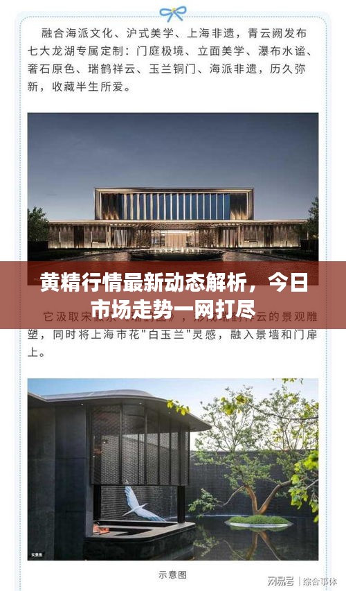 黃精行情最新動態(tài)解析，今日市場走勢一網打盡